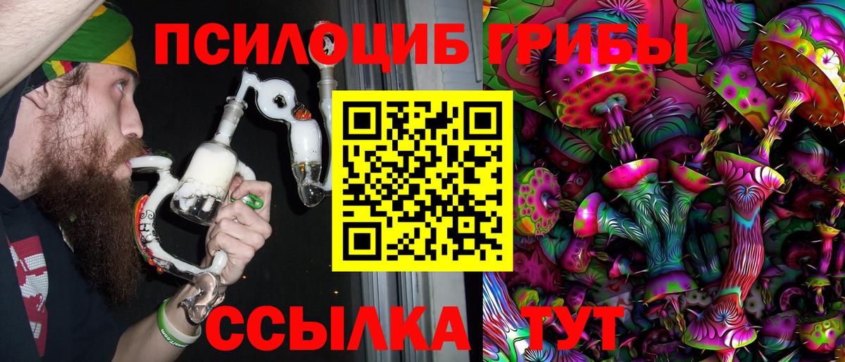 Псилоцибиновые грибы Cubensis Урюпинск